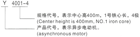 西安泰富西玛Y系列(H355-1000)高压阳泉三相异步电机型号说明
